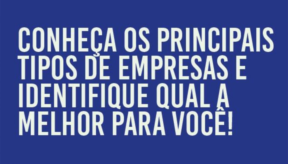 PRINCIPAIS TIPOS DE EMPRESAS